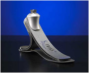 Touch Bionics i-Limb Hand